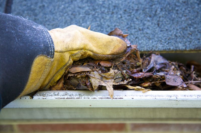 Debris Removal from Gutters