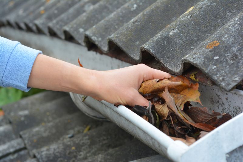 Clean and Functional Gutters