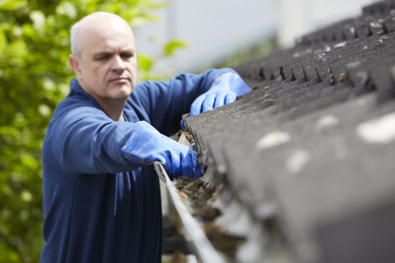 Clean and Maintained Gutters